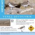 Sortie nature