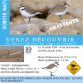 Sortie nature : les gravelots