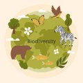 Fresque de la biodiversité