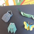 Ma collection d’insectes