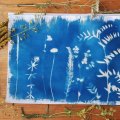 Initiation cyanotype
