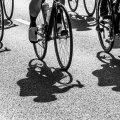 La Cyclo : La Ronde Normande